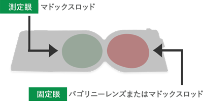 測定眼 マドックスロッド 固定眼 バゴリニーレンズまたはマドックスロッド